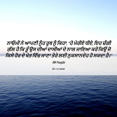 Picture 06 - ਰੁੱਤ 2:22 PANIRV - ਨਾਓਮੀ ਨੇ ਆਪਣੀ ਨੂੰਹ - Bible Verse Picture