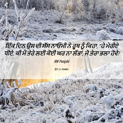 Picture 06 - ਰੁੱਤ 3:1 PANIRV - ਇੱਕ ਦਿਨ ਉਸ ਦੀ ਸੱਸ - Bible Verse Picture