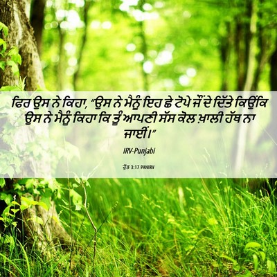 Picture 06 - ਰੁੱਤ 3:17 PANIRV - ਫਿਰ ਉਸ ਨੇ ਕਿਹਾ, “ਉਸ - Bible Verse Picture