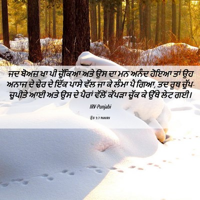 Picture 06 - ਰੁੱਤ 3:7 PANIRV - ਜਦ ਬੋਅਜ਼ ਖਾ ਪੀ - Bible Verse Picture
