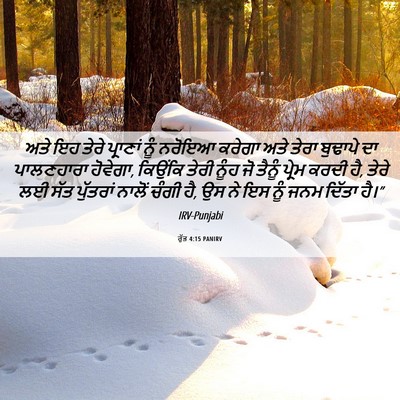 Picture 06 - ਰੁੱਤ 4:15 PANIRV - ਅਤੇ ਇਹ ਤੇਰੇ - Bible Verse Picture
