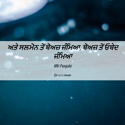 Picture 06 - ਰੁੱਤ 4:21 PANIRV - ਅਤੇ ਸਲਮੋਨ ਤੋਂ - Bible Verse Picture