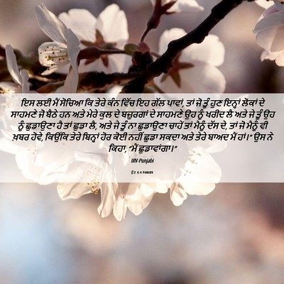 Picture 06 - ਰੁੱਤ 4:4 PANIRV - ਇਸ ਲਈ ਮੈਂ ਸੋਚਿਆ ਕਿ - Bible Verse Picture