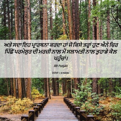 Picture 06 - ਰੋਮੀਆਂ 1:10 PANIRV - ਅਤੇ ਸਦਾ ਇਹ - Bible Verse Picture
