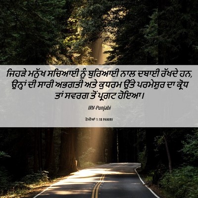 Picture 06 - ਰੋਮੀਆਂ 1:18 PANIRV - ਜਿਹੜੇ ਮਨੁੱਖ ਸਚਿਆਈ - Bible Verse Picture