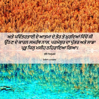 Picture 06 - ਰੋਮੀਆਂ 1:4 PANIRV - ਅਤੇ ਪਵਿੱਤਰਤਾਈ ਦੇ - Bible Verse Picture