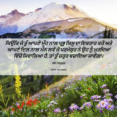 Picture 06 - ਰੋਮੀਆਂ 10:9 PANIRV - ਕਿਉਂਕਿ ਜੇ ਤੂੰ ਆਪਣੇ - Bible Verse Picture