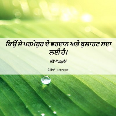 Picture 06 - ਰੋਮੀਆਂ 11:29 PANIRV - ਕਿਉਂ ਜੋ ਪਰਮੇਸ਼ੁਰ - Bible Verse Picture