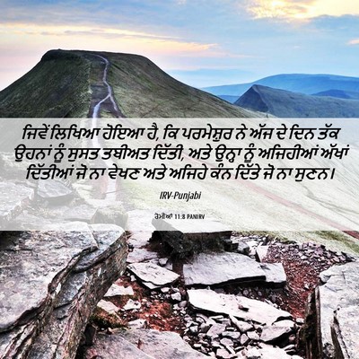 Picture 06 - ਰੋਮੀਆਂ 11:8 PANIRV - ਜਿਵੇਂ ਲਿਖਿਆ ਹੋਇਆ - Bible Verse Picture