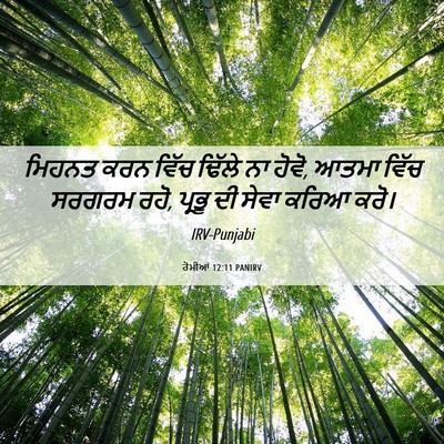 Picture 06 - ਰੋਮੀਆਂ 12:11 PANIRV - ਮਿਹਨਤ ਕਰਨ ਵਿੱਚ - Bible Verse Picture