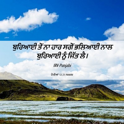 Picture 06 - ਰੋਮੀਆਂ 12:21 PANIRV - ਬੁਰਿਆਈ ਤੋਂ ਨਾ ਹਾਰ - Bible Verse Picture