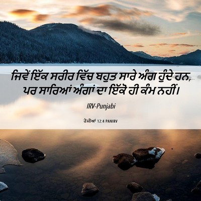 Picture 06 - ਰੋਮੀਆਂ 12:4 PANIRV - ਜਿਵੇਂ ਇੱਕ ਸਰੀਰ - Bible Verse Picture