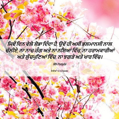 Picture 06 - ਰੋਮੀਆਂ 13:13 PANIRV - ਜਿਵੇਂ ਦਿਨ ਵੇਲੇ - Bible Verse Picture