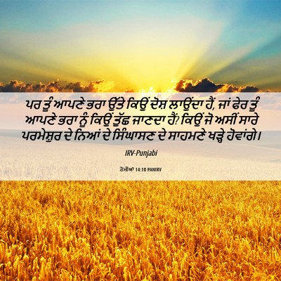 Picture 06 - ਰੋਮੀਆਂ 14:10 PANIRV - ਪਰ ਤੂੰ ਆਪਣੇ ਭਰਾ - Bible Verse Picture