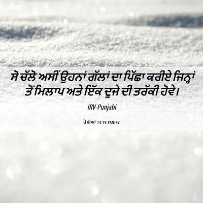 Picture 06 - ਰੋਮੀਆਂ 14:19 PANIRV - ਸੋ ਚੱਲੋ ਅਸੀਂ ਉਹਨਾਂ - Bible Verse Picture