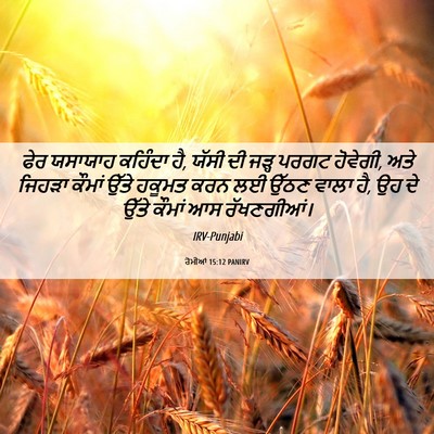 Picture 06 - ਰੋਮੀਆਂ 15:12 PANIRV - ਫੇਰ ਯਸਾਯਾਹ ਕਹਿੰਦਾ - Bible Verse Picture