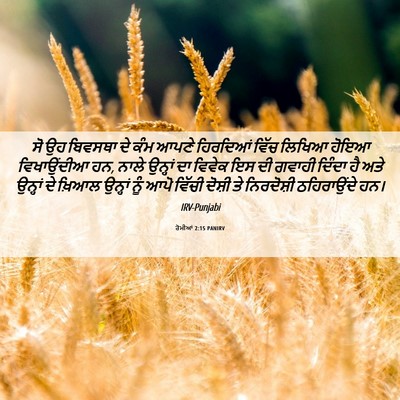 Picture 06 - ਰੋਮੀਆਂ 2:15 PANIRV - ਸੋ ਉਹ ਬਿਵਸਥਾ ਦੇ ਕੰਮ - Bible Verse Picture