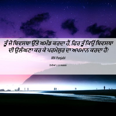 Picture 06 - ਰੋਮੀਆਂ 2:23 PANIRV - ਤੂੰ ਜੋ ਬਿਵਸਥਾ ਉੱਤੇ - Bible Verse Picture