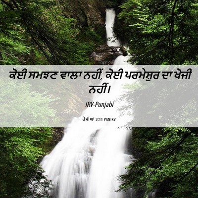 Picture 06 - ਰੋਮੀਆਂ 3:11 PANIRV - ਕੋਈ ਸਮਝਣ ਵਾਲਾ ਨਹੀਂ, - Bible Verse Picture
