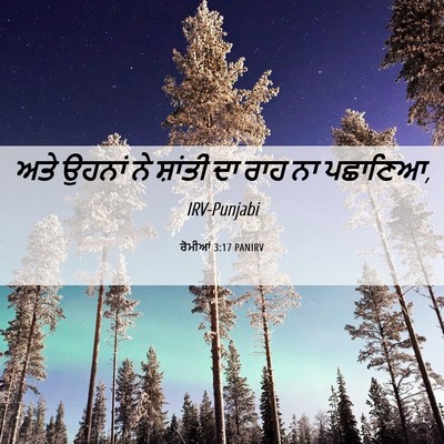 Picture 06 - ਰੋਮੀਆਂ 3:17 PANIRV - ਅਤੇ ਉਹਨਾਂ ਨੇ - Bible Verse Picture