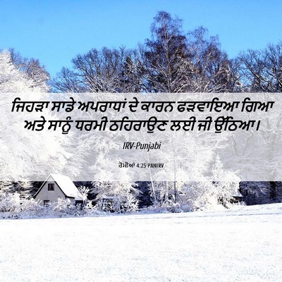 Picture 06 - ਰੋਮੀਆਂ 4:25 PANIRV - ਜਿਹੜਾ ਸਾਡੇ - Bible Verse Picture