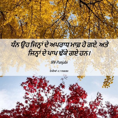 Picture 06 - ਰੋਮੀਆਂ 4:7 PANIRV - ਧੰਨ ਉਹ ਜਿਨ੍ਹਾਂ ਦੇ - Bible Verse Picture