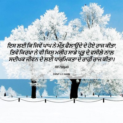 Picture 06 - ਰੋਮੀਆਂ 5:21 PANIRV - ਇਸ ਲਈ ਕਿ ਜਿਵੇਂ ਪਾਪ - Bible Verse Picture