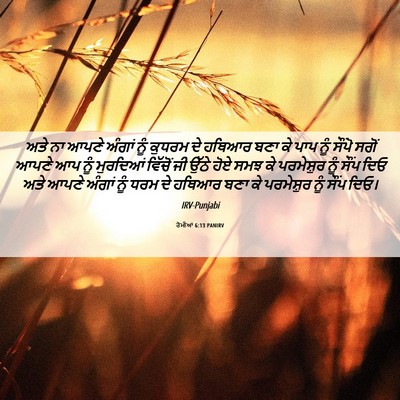 Picture 06 - ਰੋਮੀਆਂ 6:13 PANIRV - ਅਤੇ ਨਾ ਆਪਣੇ ਅੰਗਾਂ - Bible Verse Picture
