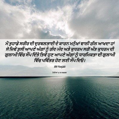 Picture 06 - ਰੋਮੀਆਂ 6:19 PANIRV - ਮੈਂ ਤੁਹਾਡੇ ਸਰੀਰ ਦੀ - Bible Verse Picture