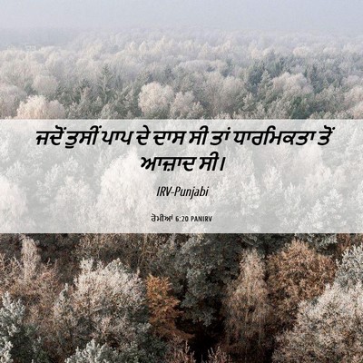 Picture 06 - ਰੋਮੀਆਂ 6:20 PANIRV - ਜਦੋਂ ਤੁਸੀਂ ਪਾਪ ਦੇ - Bible Verse Picture
