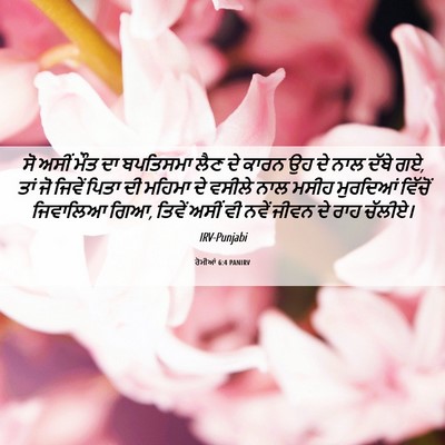 Picture 06 - ਰੋਮੀਆਂ 6:4 PANIRV - ਸੋ ਅਸੀਂ ਮੌਤ ਦਾ - Bible Verse Picture
