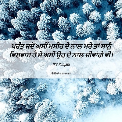 Picture 06 - ਰੋਮੀਆਂ 6:8 PANIRV - ਪਰੰਤੂ ਜਦੋਂ ਅਸੀਂ - Bible Verse Picture