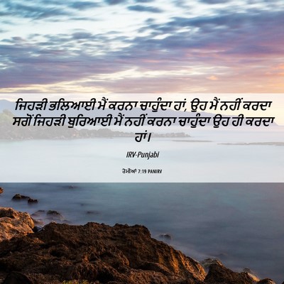 Picture 06 - ਰੋਮੀਆਂ 7:19 PANIRV - ਜਿਹੜੀ ਭਲਿਆਈ ਮੈਂ - Bible Verse Picture