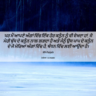 Picture 06 - ਰੋਮੀਆਂ 7:23 PANIRV - ਪਰ ਮੈਂ ਆਪਣੇ ਅੰਗਾਂ - Bible Verse Picture