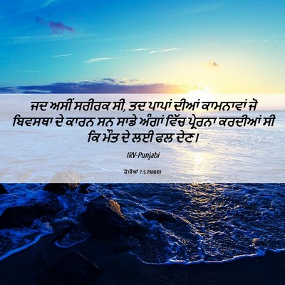 Picture 06 - ਰੋਮੀਆਂ 7:5 PANIRV - ਜਦ ਅਸੀਂ ਸਰੀਰਕ ਸੀ, - Bible Verse Picture