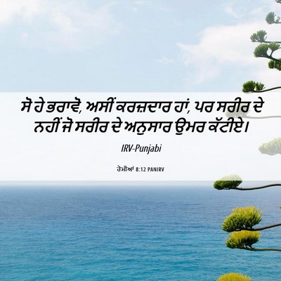 Picture 06 - ਰੋਮੀਆਂ 8:12 PANIRV - ਸੋ ਹੇ ਭਰਾਵੋ, ਅਸੀਂ - Bible Verse Picture