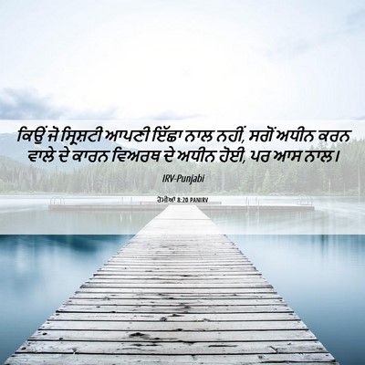 Picture 06 - ਰੋਮੀਆਂ 8:20 PANIRV - ਕਿਉਂ ਜੋ ਸ੍ਰਿਸ਼ਟੀ - Bible Verse Picture