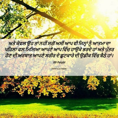 Picture 06 - ਰੋਮੀਆਂ 8:23 PANIRV - ਅਤੇ ਕੇਵਲ ਉਹ ਤਾਂ - Bible Verse Picture