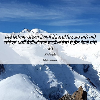 Picture 06 - ਰੋਮੀਆਂ 8:36 PANIRV - ਜਿਵੇਂ ਲਿਖਿਆ ਹੋਇਆ - Bible Verse Picture