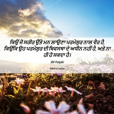 Picture 06 - ਰੋਮੀਆਂ 8:7 PANIRV - ਕਿਉਂ ਜੋ ਸਰੀਰ ਉੱਤੇ - Bible Verse Picture
