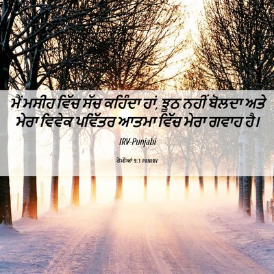 Picture 06 - ਰੋਮੀਆਂ 9:1 PANIRV - ਮੈਂ ਮਸੀਹ ਵਿੱਚ ਸੱਚ - Bible Verse Picture