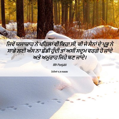 Picture 06 - ਰੋਮੀਆਂ 9:29 PANIRV - ਜਿਵੇਂ ਯਸਾਯਾਹ ਨੇ - Bible Verse Picture