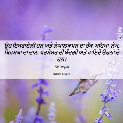 Picture 06 - ਰੋਮੀਆਂ 9:4 PANIRV - ਉਹ ਇਸਰਾਏਲੀ ਹਨ ਅਤੇ - Bible Verse Picture