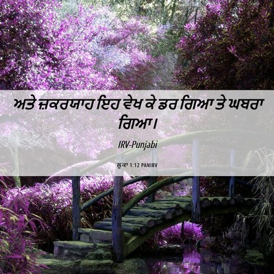 Picture 06 - ਲੂਕਾ 1:12 PANIRV - ਅਤੇ ਜ਼ਕਰਯਾਹ ਇਹ ਵੇਖ - Bible Verse Picture