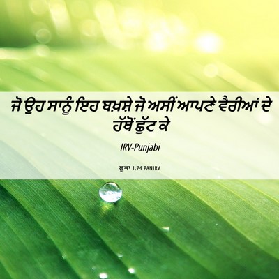 Picture 06 - ਲੂਕਾ 1:74 PANIRV - ਜੋ ਉਹ ਸਾਨੂੰ ਇਹ - Bible Verse Picture