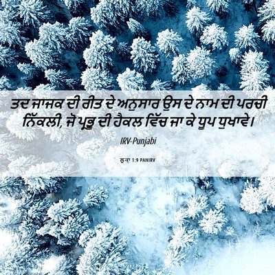 Picture 06 - ਲੂਕਾ 1:9 PANIRV - ਤਦ ਜਾਜਕ ਦੀ ਰੀਤ ਦੇ - Bible Verse Picture