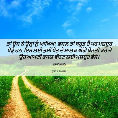 Picture 06 - ਲੂਕਾ 10:2 PANIRV - ਤਾਂ ਉਸ ਨੇ ਉਨ੍ਹਾਂ - Bible Verse Picture