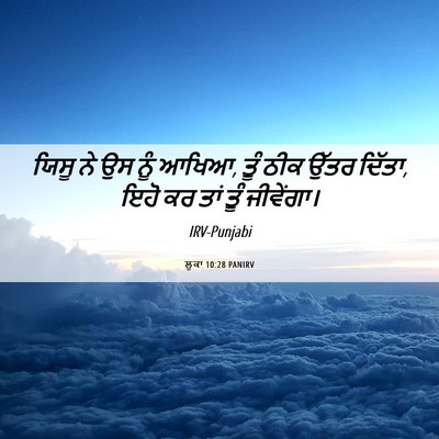 Picture 06 - ਲੂਕਾ 10:28 PANIRV - ਯਿਸੂ ਨੇ ਉਸ ਨੂੰ - Bible Verse Picture