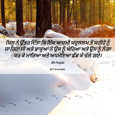 Picture 06 - ਲੂਕਾ 10:30 PANIRV - ਯਿਸੂ ਨੇ ਉੱਤਰ ਦਿੱਤਾ - Bible Verse Picture