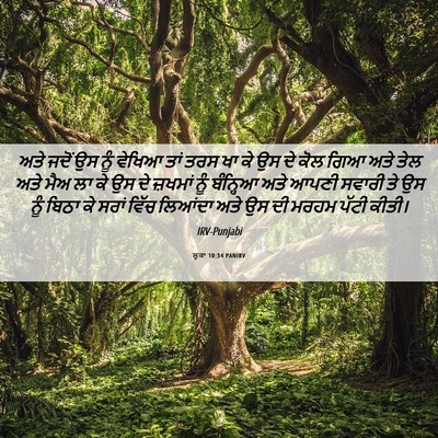 Picture 06 - ਲੂਕਾ 10:34 PANIRV - ਅਤੇ ਜਦੋਂ ਉਸ ਨੂੰ - Bible Verse Picture